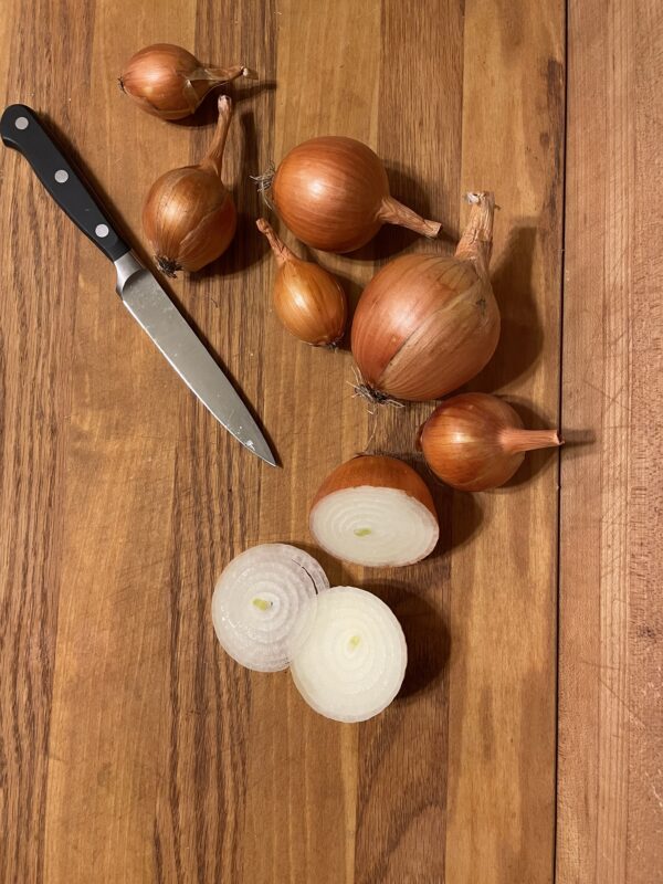 Onion