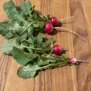 Radishes