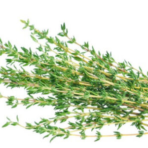 Thyme