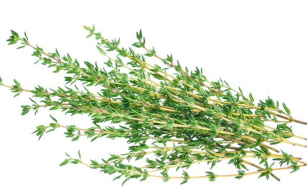 Thyme