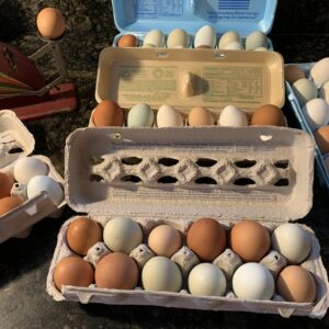 Example Fresh Eggs