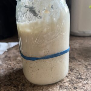 Sourdough Starter
